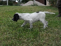 GIPSY
